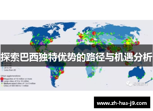 探索巴西独特优势的路径与机遇分析