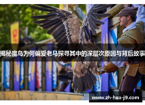 揭秘魔鸟为何偏爱老马探寻其中的深层次原因与背后故事